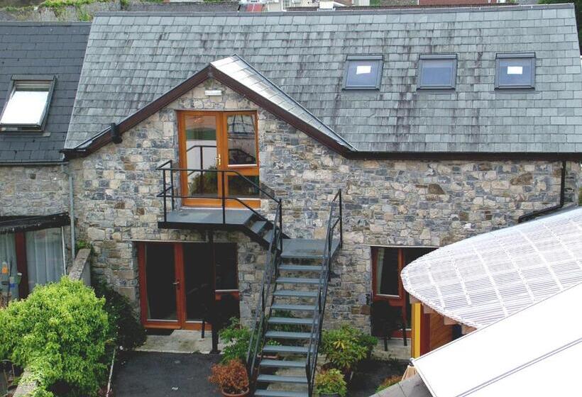 Студия Стандарт, Cashel Town Center Inn