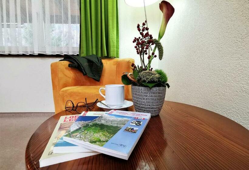 اتاق استاندارد یک نفره, Alpenblick Leukerbad Therme