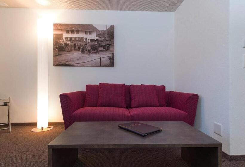 Escritório Deluxe, Gasthaus Sternen