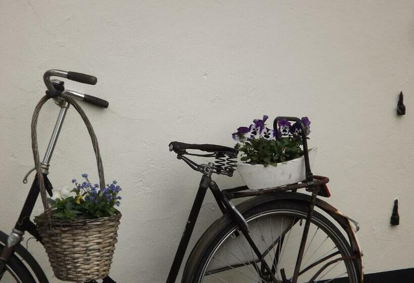 수피리어 룸, B&b De Willemshoeve