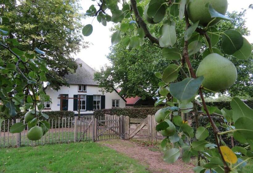 디럭스 룸, B&b De Willemshoeve