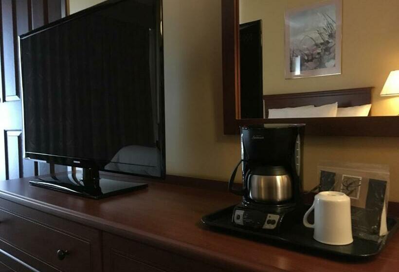 Номер Superior, Motel Cofotel