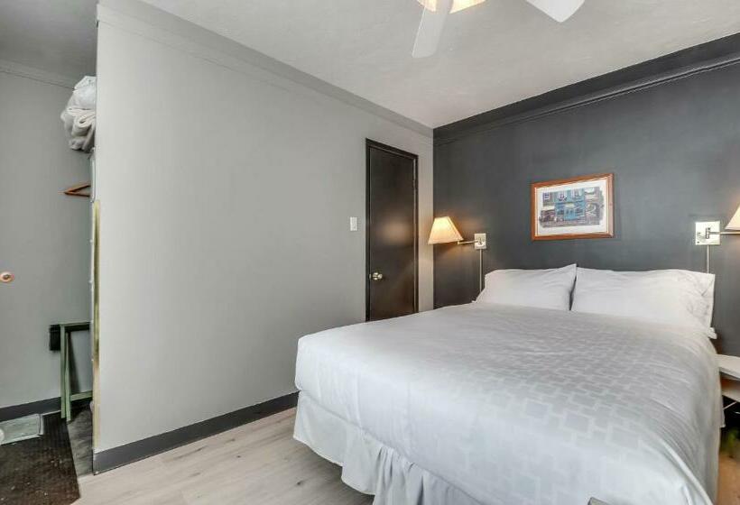Номер Стандарт, Motel Levis