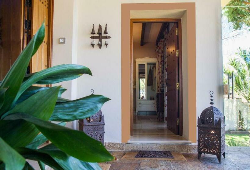 Quarto Estandar, Azalea Playa