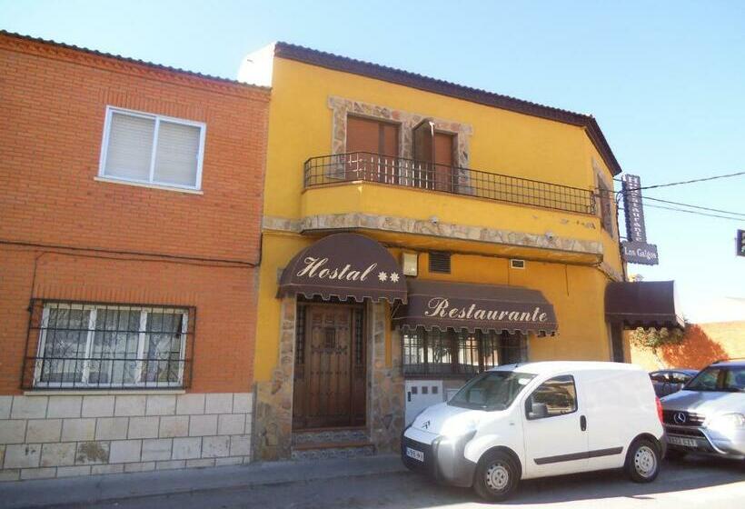 스탠다드 룸, Hostal Los Galgos
