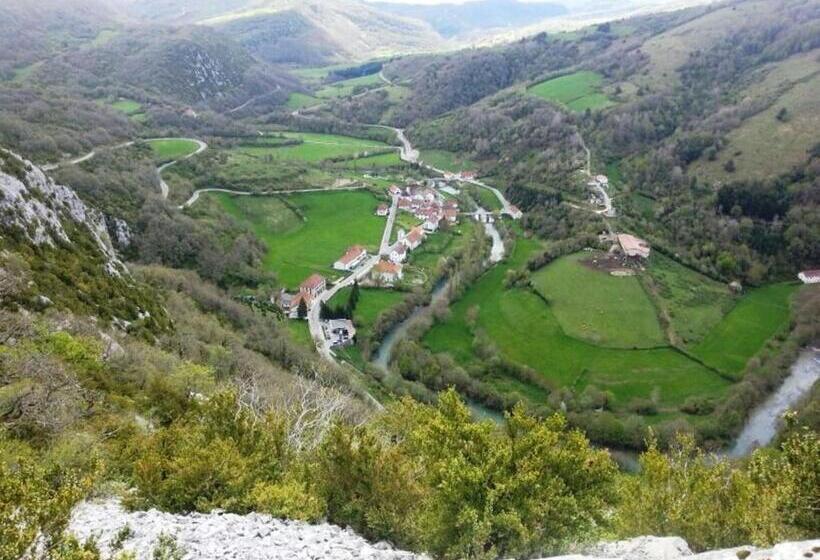 スタンダードルーム, Rural Aribe Irati