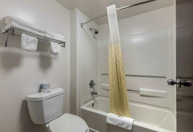 带大床的标准间, Quality Inn