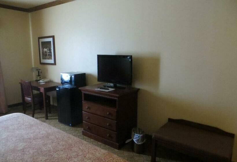 Стандартный Номер Кровать Кинг, Texas Hallettsville