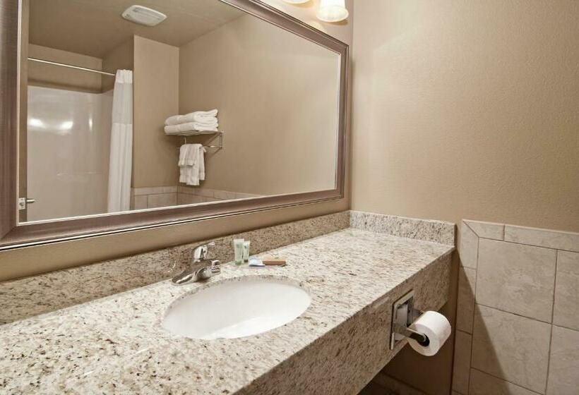 חדר סטנדרט עם מיטת קינג, The Watford