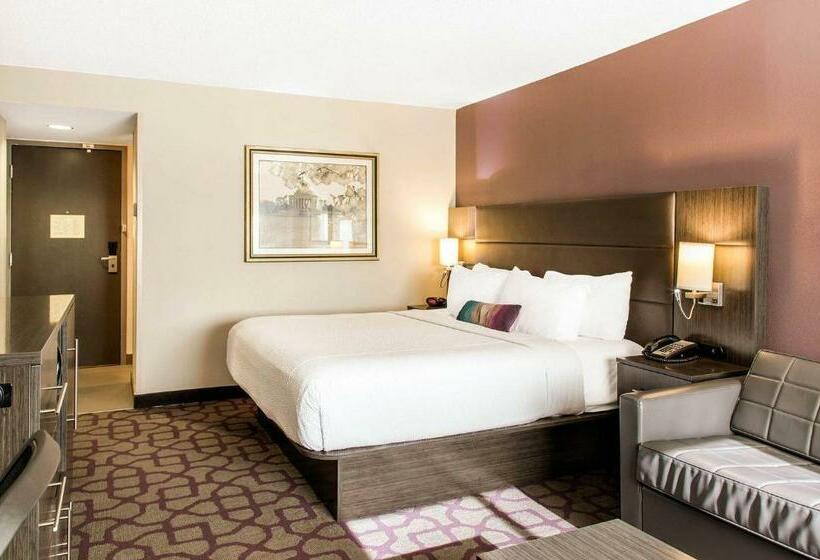 스탠다드 룸 킹사이즈 침대, Comfort Inn Largo Washington Dc East