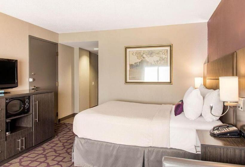 غرفة قياسية سرير كينج, Comfort Inn Largo Washington Dc East