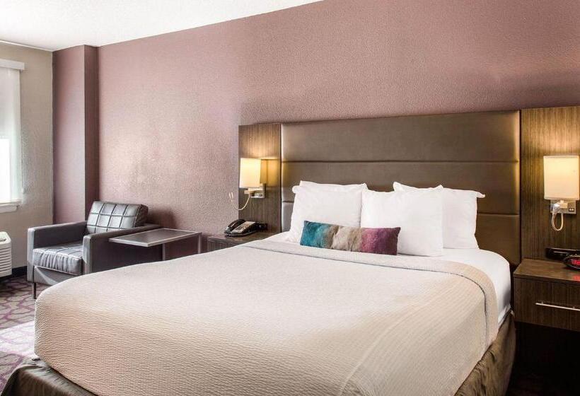 스탠다드 룸 킹사이즈 침대, Comfort Inn Largo Washington Dc East