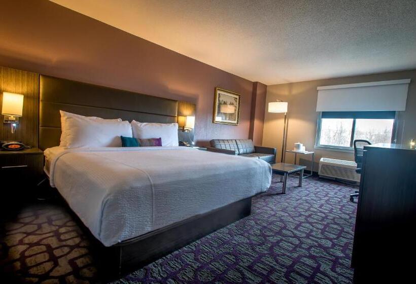 스탠다드 룸 킹사이즈 침대, Comfort Inn Largo Washington Dc East