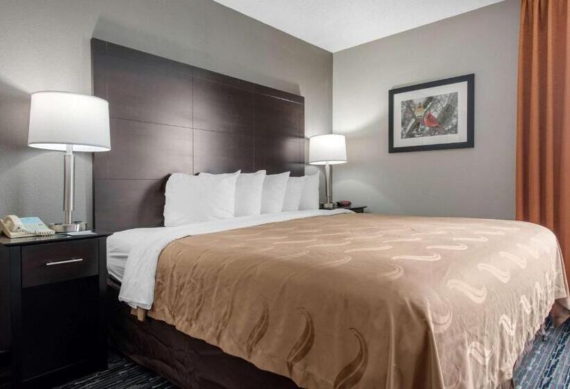 带大床的套房, Quality Inn & Suites Brownsburg   Indianapolis West