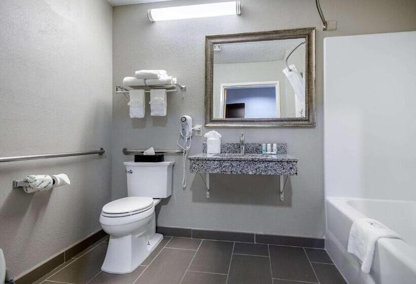 适合残疾人士使用的带超级大床的标准间, Quality Inn & Suites Brownsburg   Indianapolis West