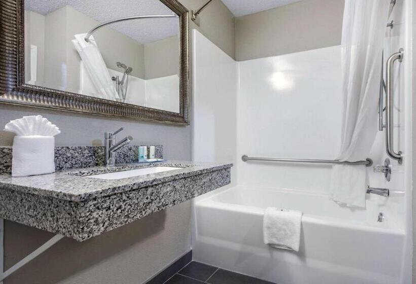 适合残疾人士使用的带超级大床的标准间, Quality Inn & Suites Brownsburg   Indianapolis West