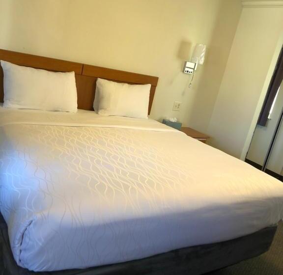 스탠다드 룸 킹사이즈 침대, Monticello Motel