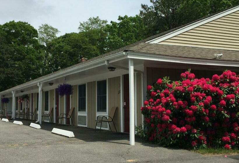 스탠다드 룸 더블 침대 2개, Viking Shores Motor Inn