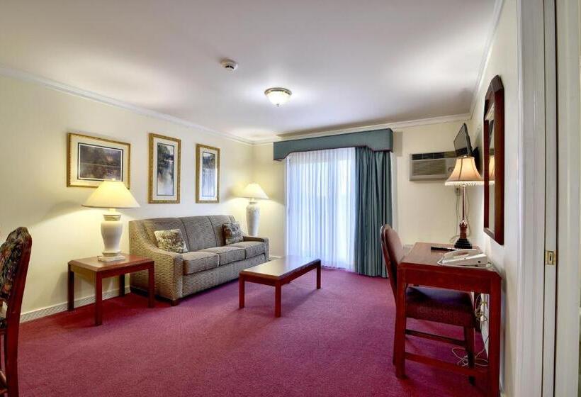 Люкс Executive Кровать Кинг, Roosevelt Inn & Suites Saratoga Springs
