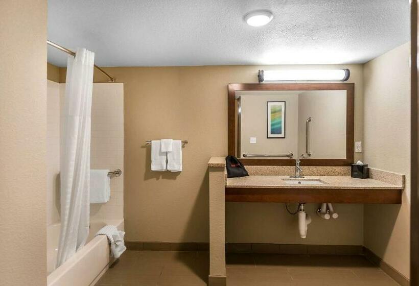 스탠다드 룸 킹사이즈 침대, Comfort Inn Bay City  Riverfront