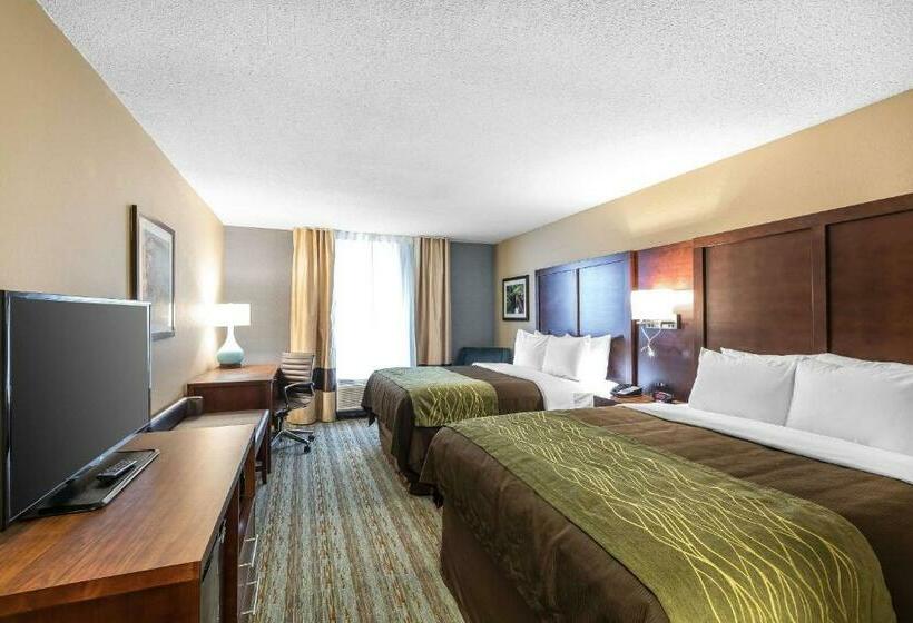 스탠다드 룸, Comfort Inn Bay City  Riverfront