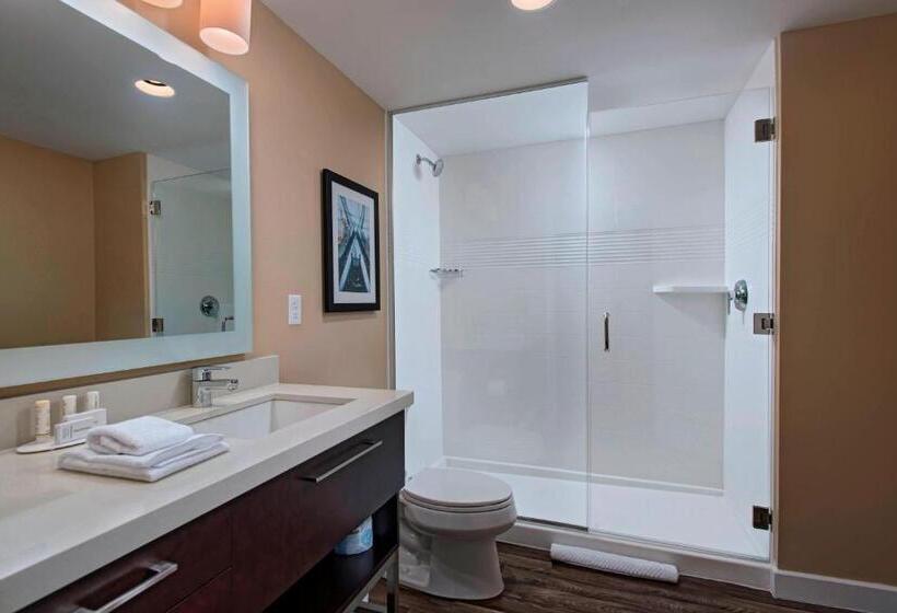 Студио Стандарт Кровать Кинг, Towneplace Suites By Marriott Columbia