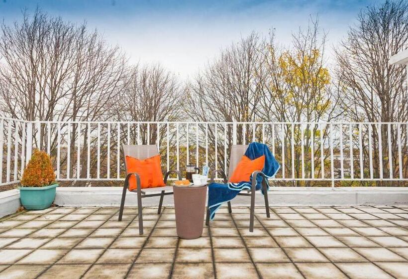 1 Bedroom Penthouse Apartment, Broc House Suites