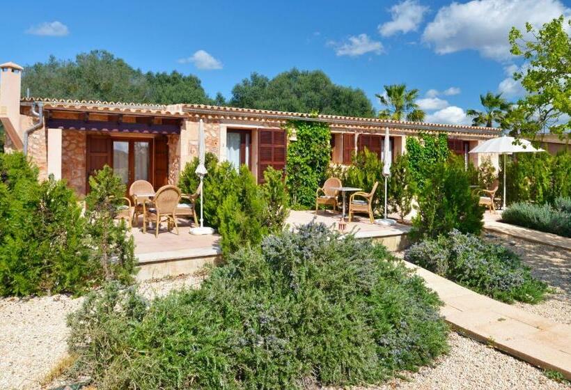 Номер Стандарт, Agroturismo Fincahotel Son Pou