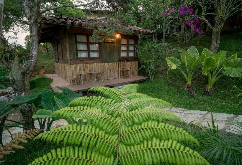 スタンダードルーム, Cabañas Los Achicuales
