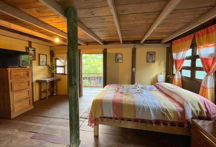 プールビュースタンダードルーム, Cabañas Los Achicuales