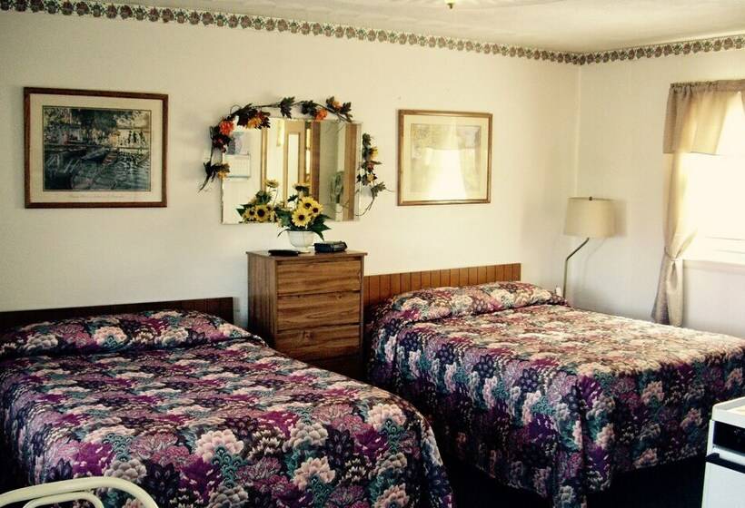 Номер Стандарт 2 Двуспальные Кровати, Lakeview Motel & Apartments