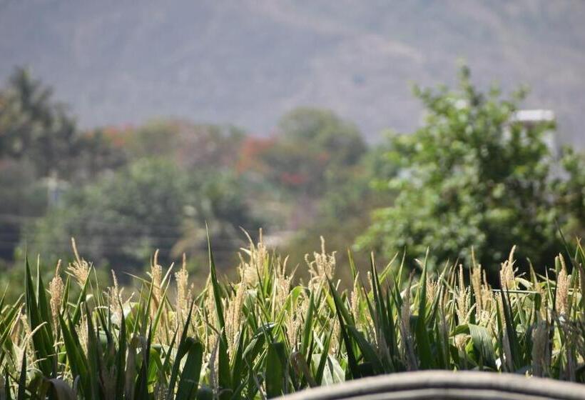 家庭房带园景, Green Orchid Resort And Farm