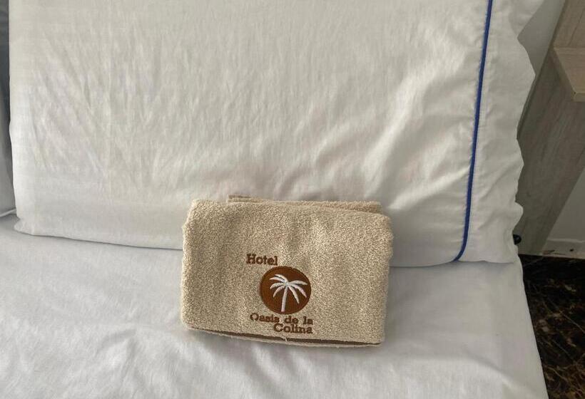 디럭스 스위트, Deluxe Oasis De La Colina Boutique