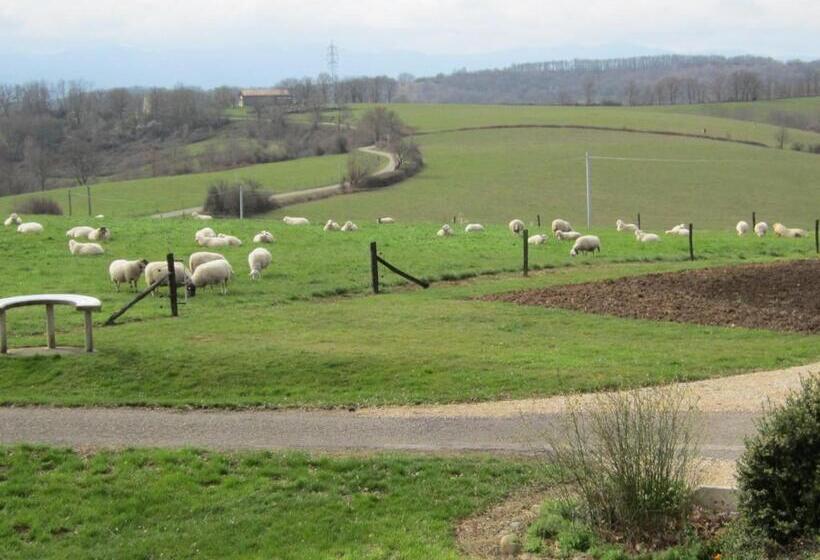 Номер Стандарт, La Ferme Du Bascou