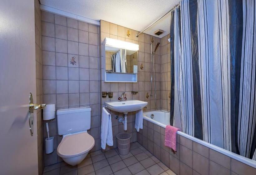 Номер Стандарт, Berghotel Sellamatt