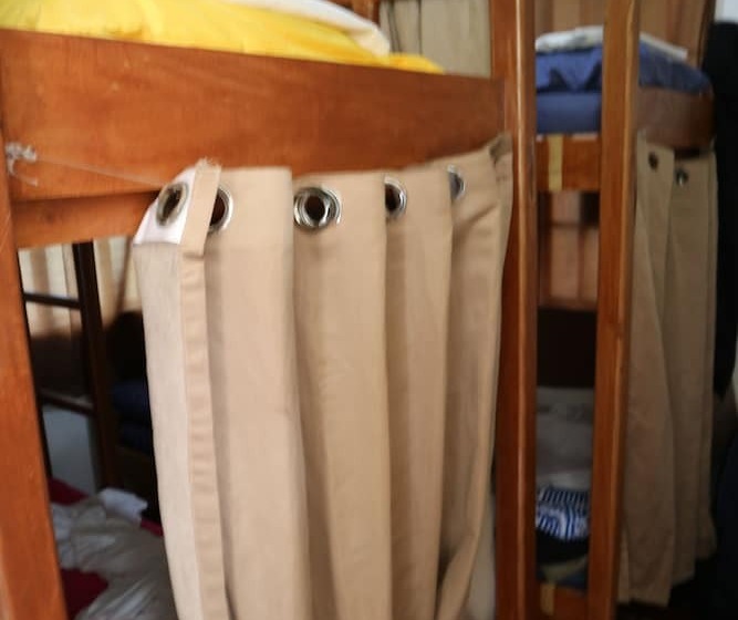 Кровать в Общей Комнате, Bohol Bohemian Hostel