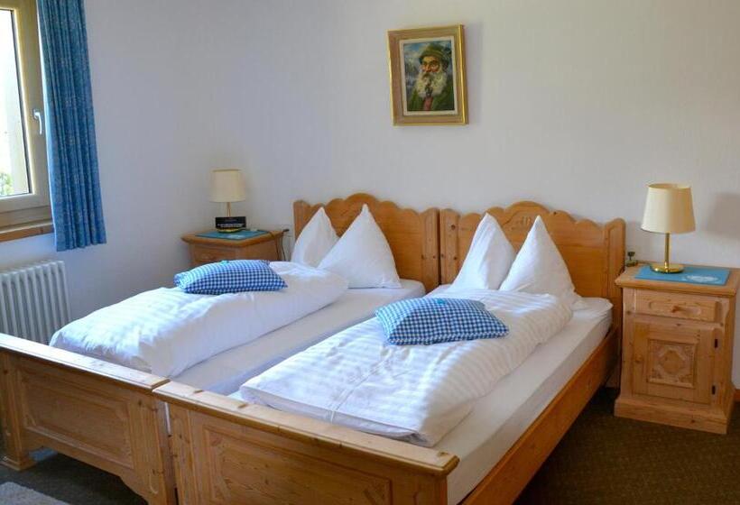 Quarto Estandar, Roseg Gletscher