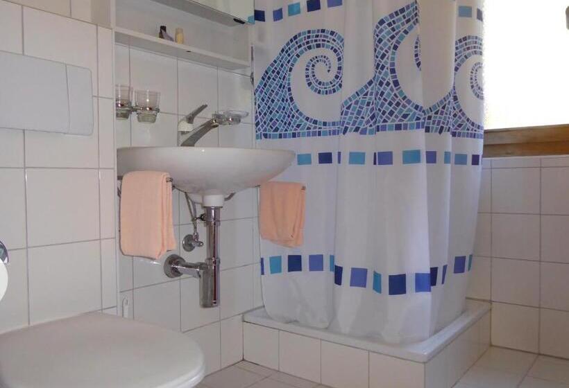 Quarto Estandar Individual, Roseg Gletscher
