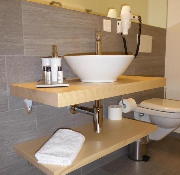 Quarto Estandar Individual, Roseg Gletscher