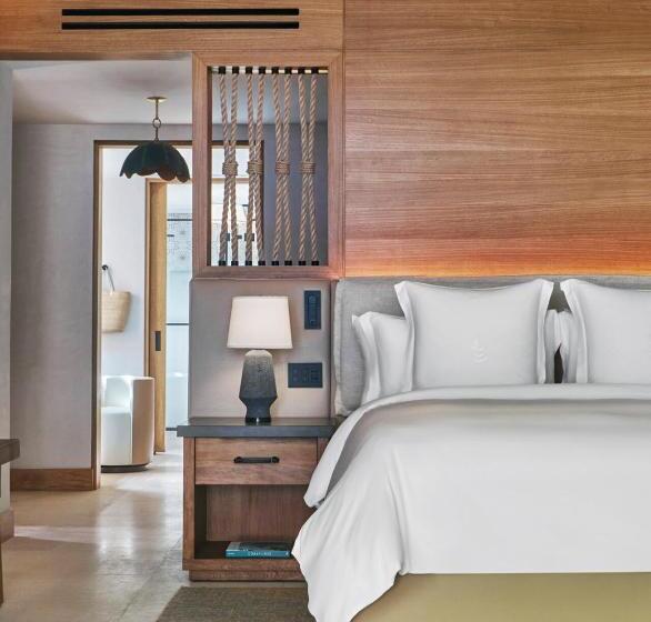 オーシャンビュースイート, Four Seasons Resort And Residences Cabo San Lucas Cabo Del Sol