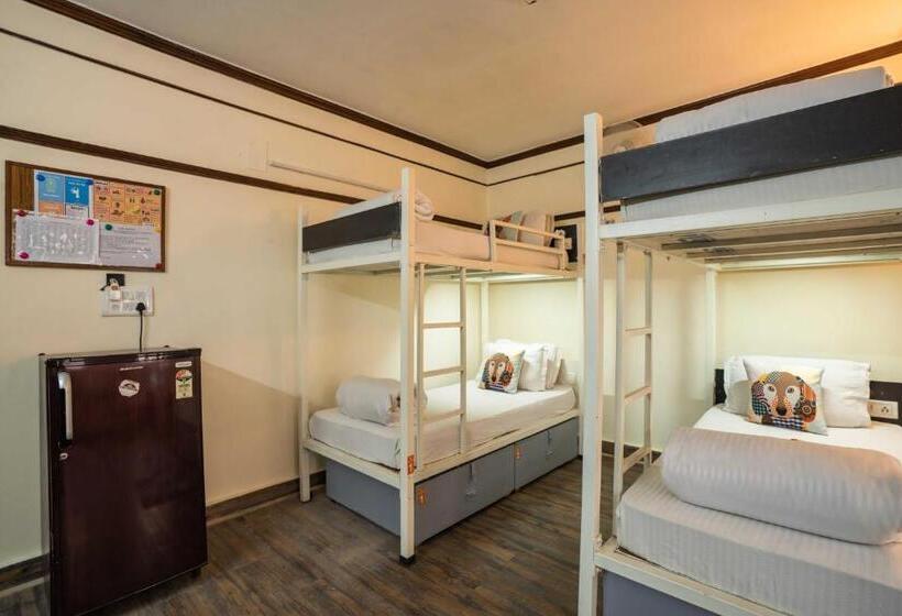 تختخواب در اتاق مشترک, Zostel Delhi