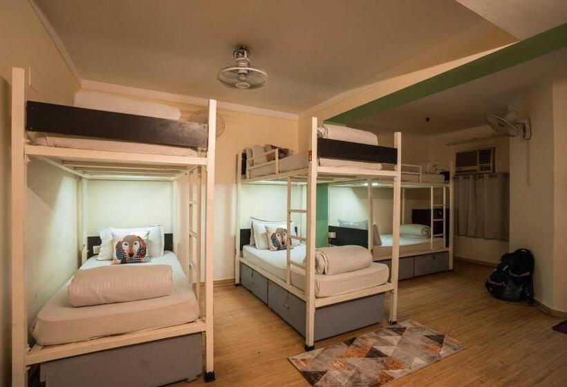 تختخواب در اتاق مشترک, Zostel Delhi