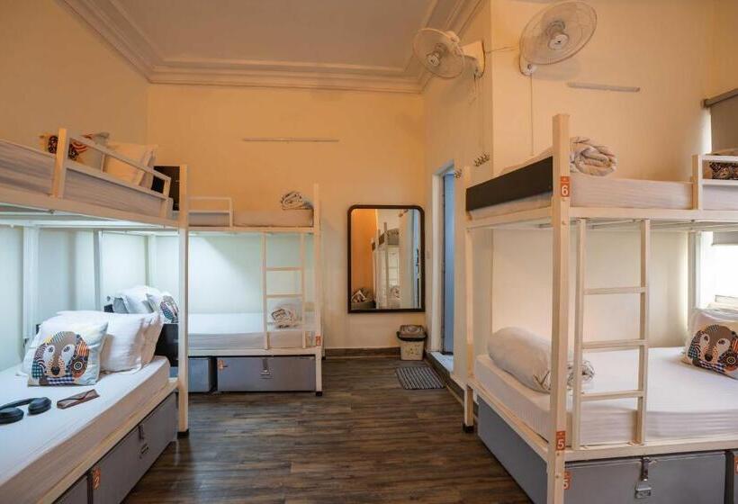 تختخواب در اتاق مشترک, Zostel Delhi
