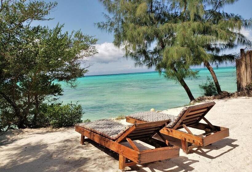 Номер Стандарт Вид на Море, Seasons Lodge Zanzibar