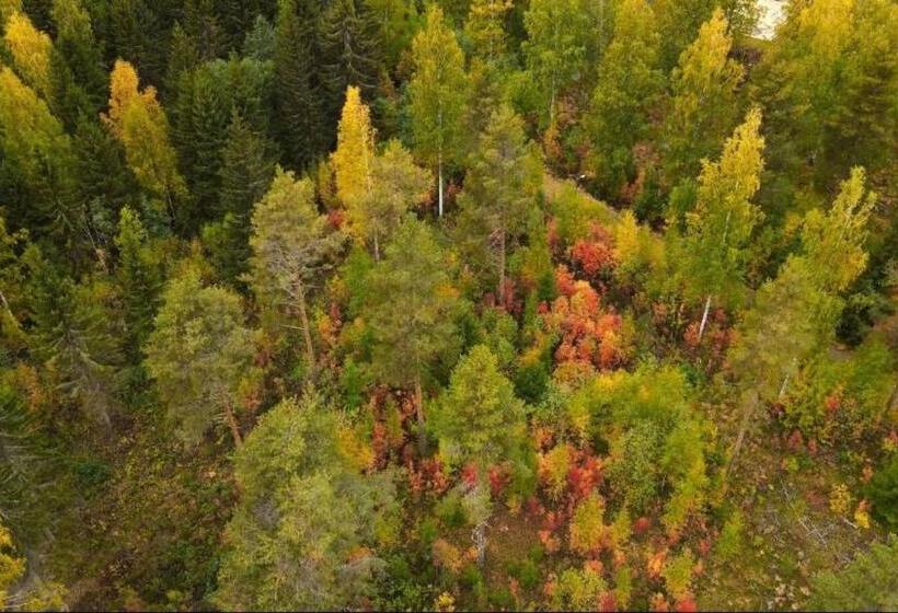 빌라 침실 1개, Punkaharju Resort