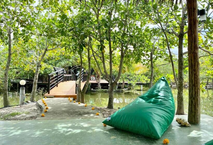 Студио Стандарт Кровать Кинг, The Beatles Lagoon