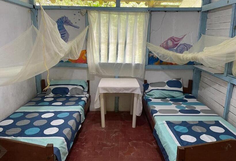 Номер Стандарт, Wira Hostal