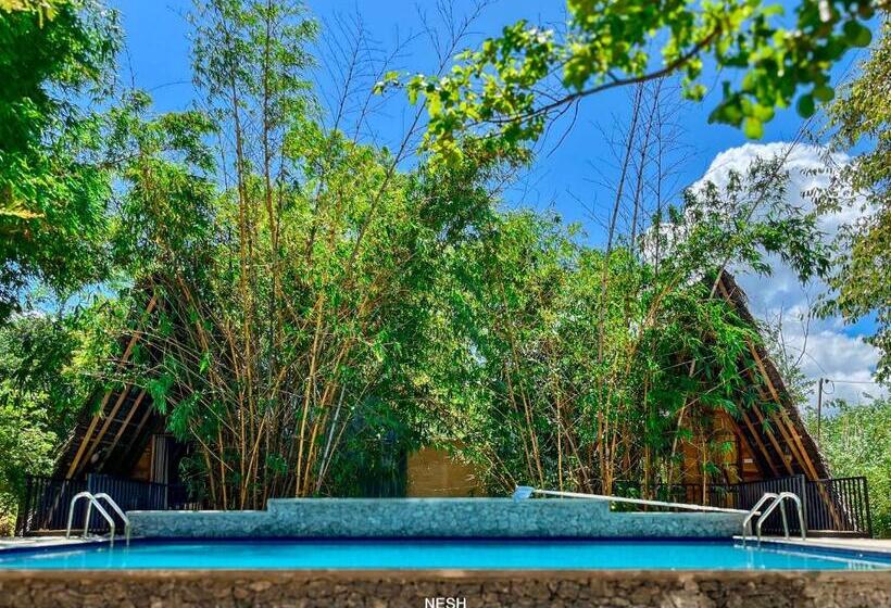 Трехместный Номер Стандарт Вид на Бассейн, Tantor Resort Habarana