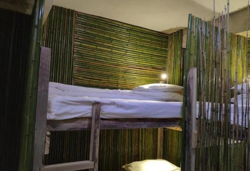 Кровать в Общей Комнате, Green Hostel & Sunny Guesthouse