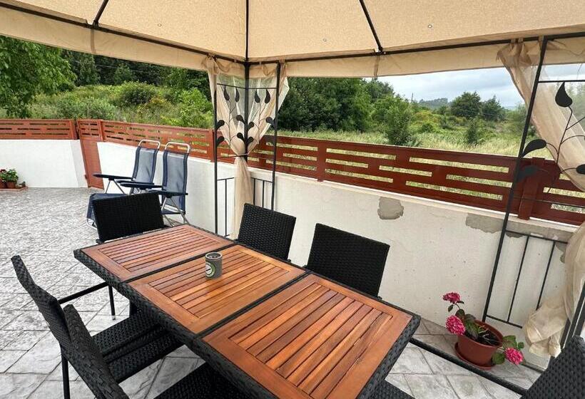 Номер Стандарт, Casa Oveja Negra 1